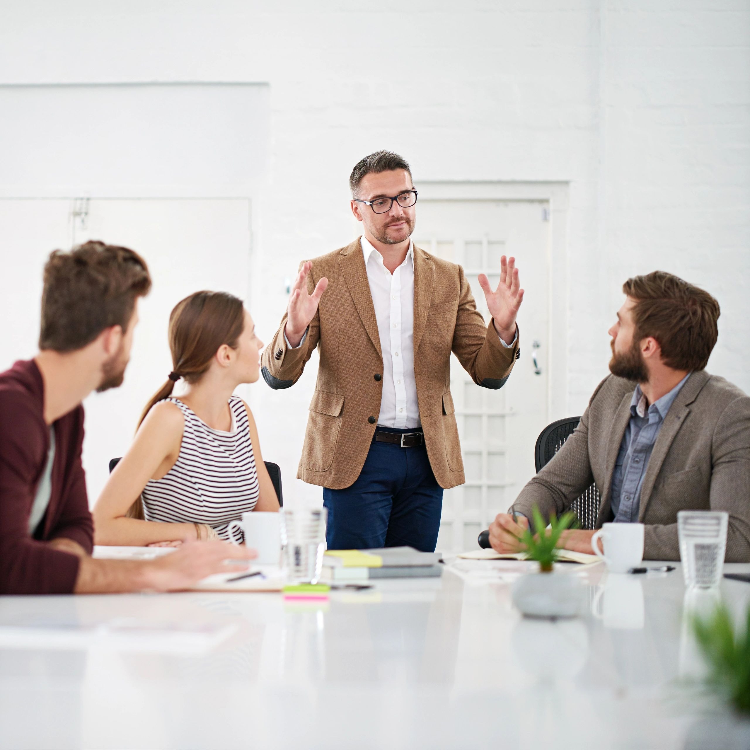 Business meeting with professional presenting